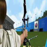 Dwonload Archery world championship Cell Phone Game
